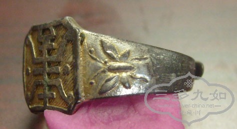 S7304890.JPG