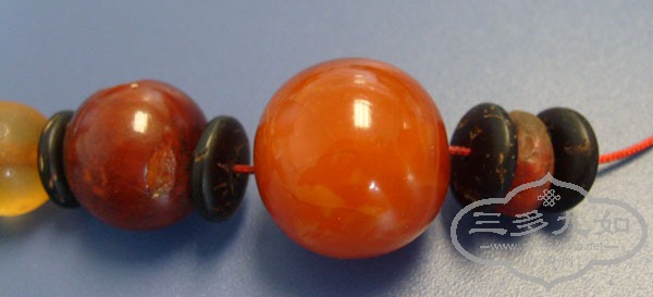 S7305348.JPG