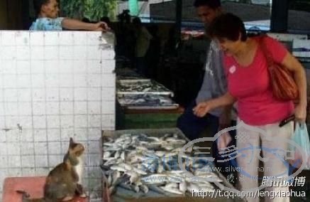 ϰ壬ôԼԵģó԰һ£ 