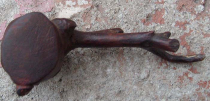 S7306941.JPG
