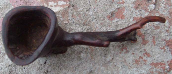 S7306942.JPG