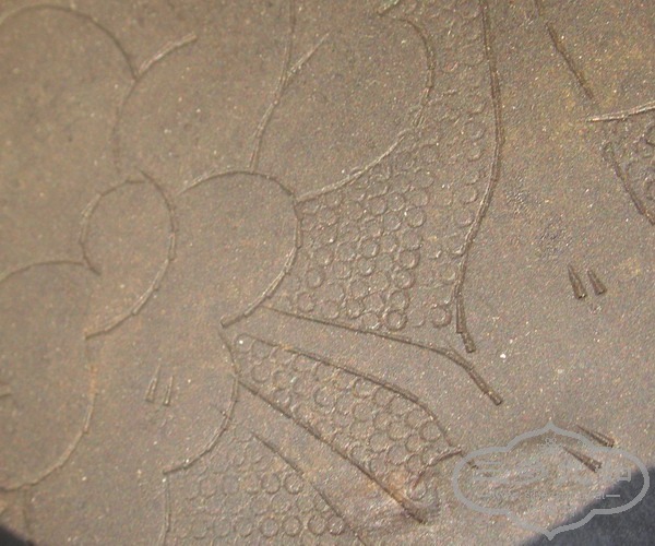 PA050039.JPG