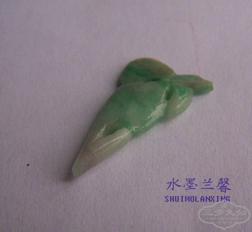 100_8409 .jpg