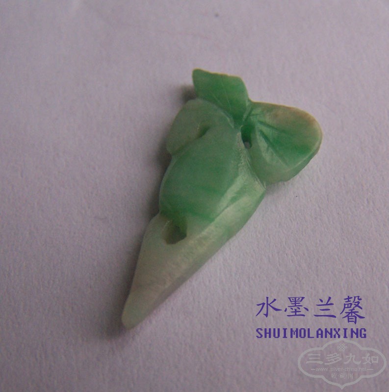100_8411 .jpg