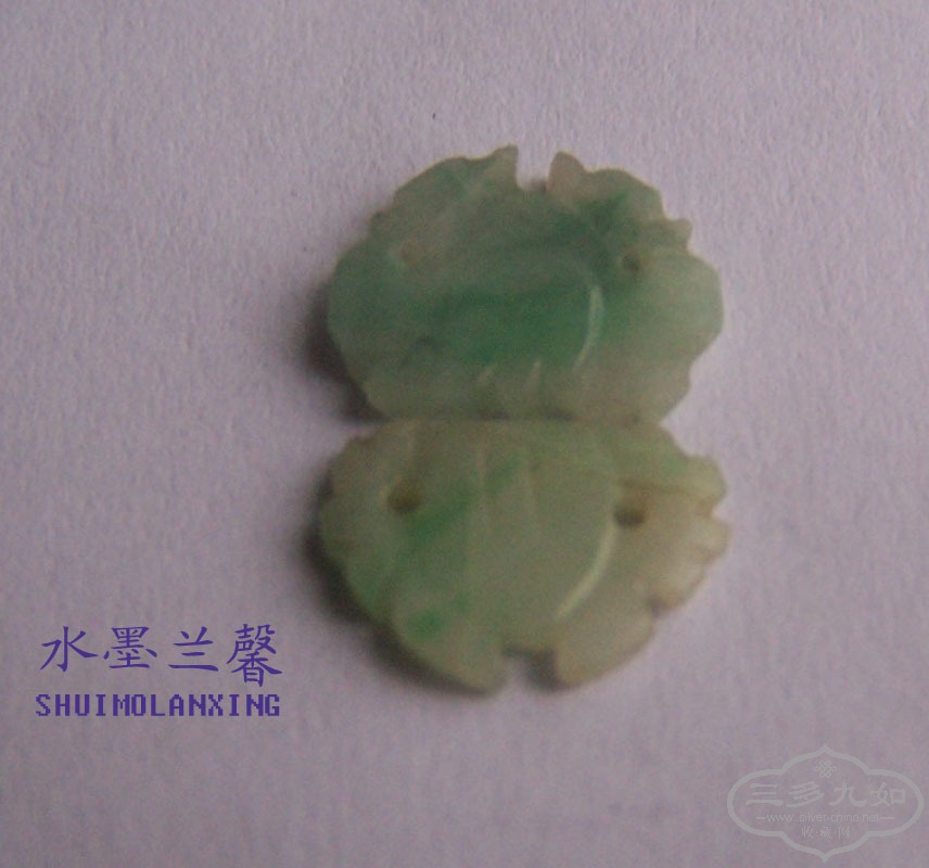 100_8446 .jpg