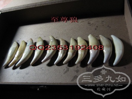 ���ֻ�1 (1).jpg