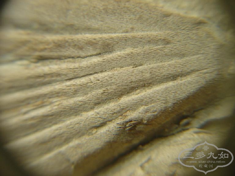 DSC04788.JPG