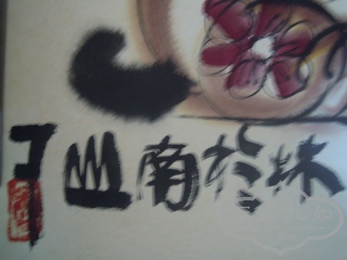 DSCN4650.JPG