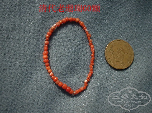 DSCN9810.JPG