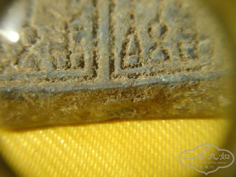 DSC06369.JPG