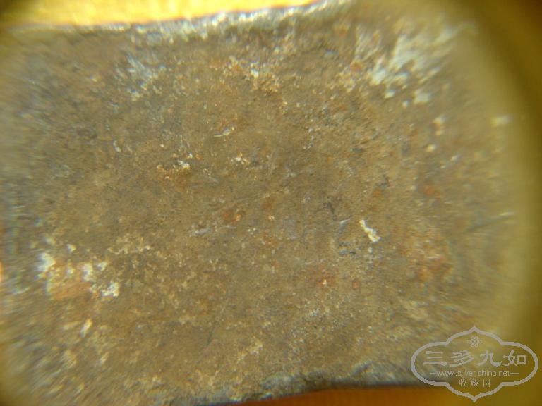 DSC06380.JPG
