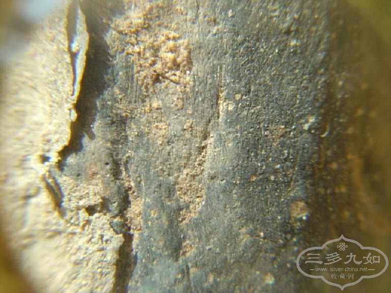 DSC07562.JPG