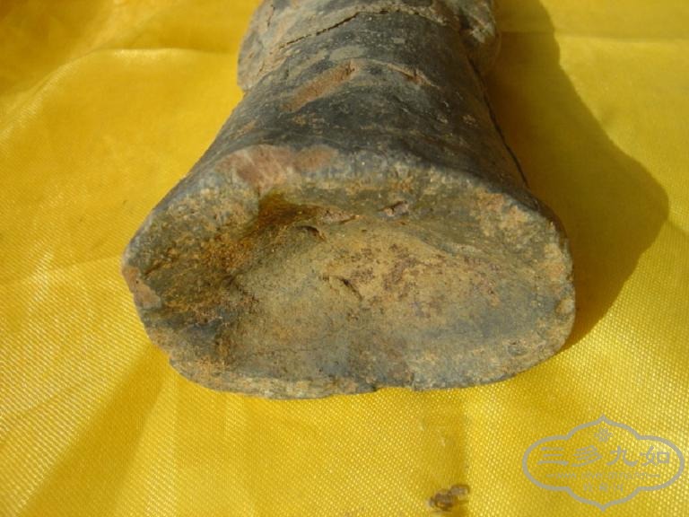 DSC07545.JPG