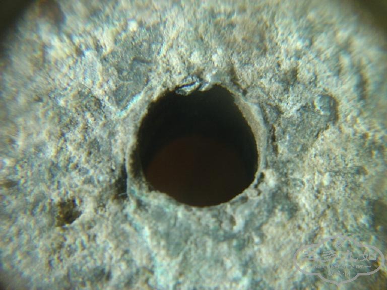 DSC07678.JPG