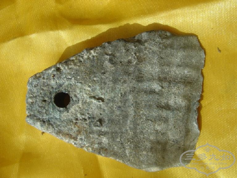 DSC07663.JPG