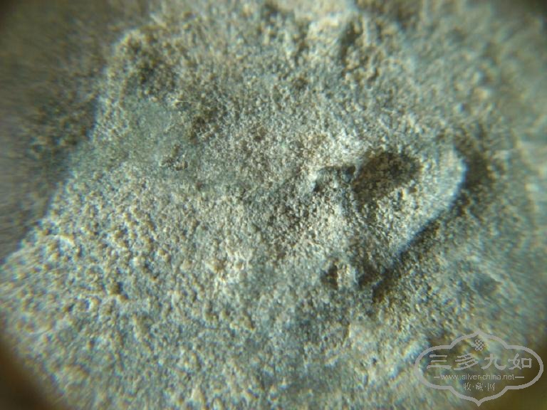 DSC07683.JPG