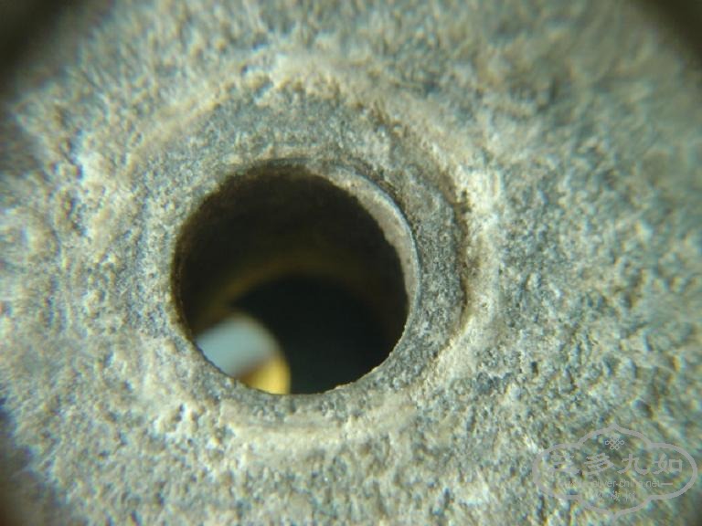 DSC07681.JPG