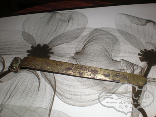 P4040355_.jpg