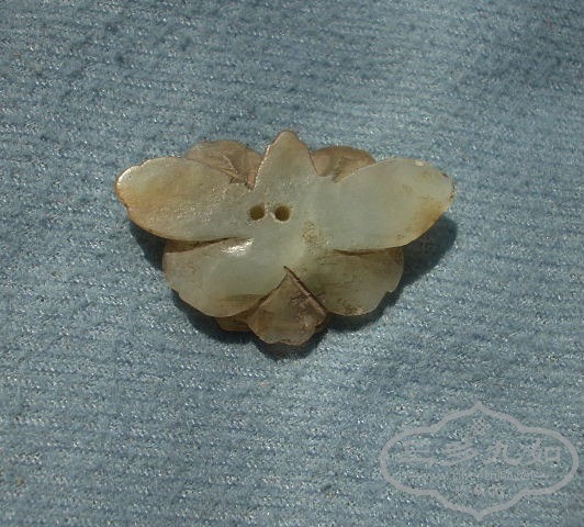 DSCN9975.JPG