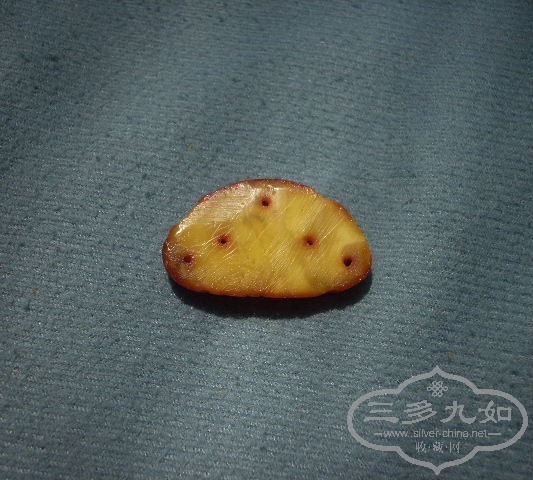 DSCN0024.JPG