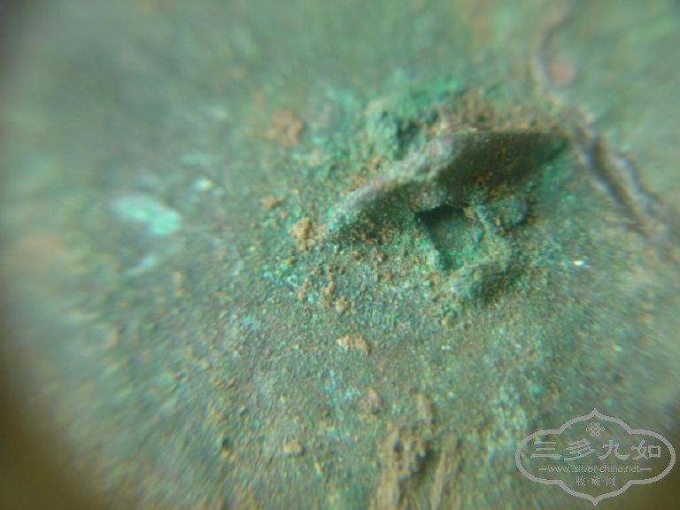 DSC00326.JPG