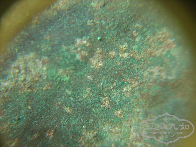 DSC00257.JPG