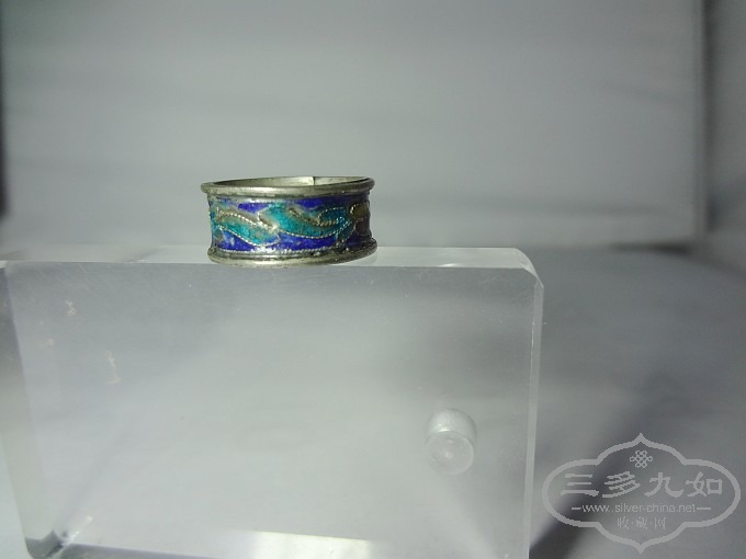 DSC03780.jpg