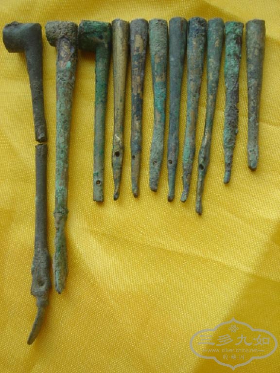 DSC02579.JPG