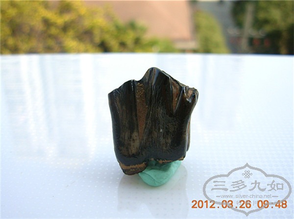 DSCN4820.JPG