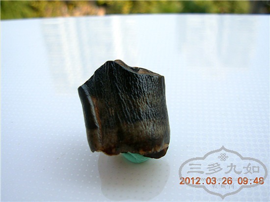 DSCN4821.JPG