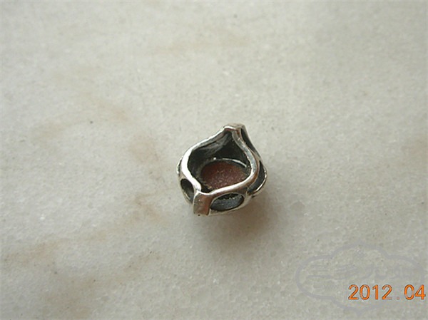 DSCN4814.JPG