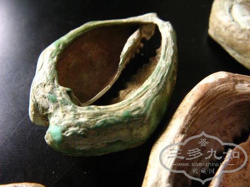 IMG_0281.jpg