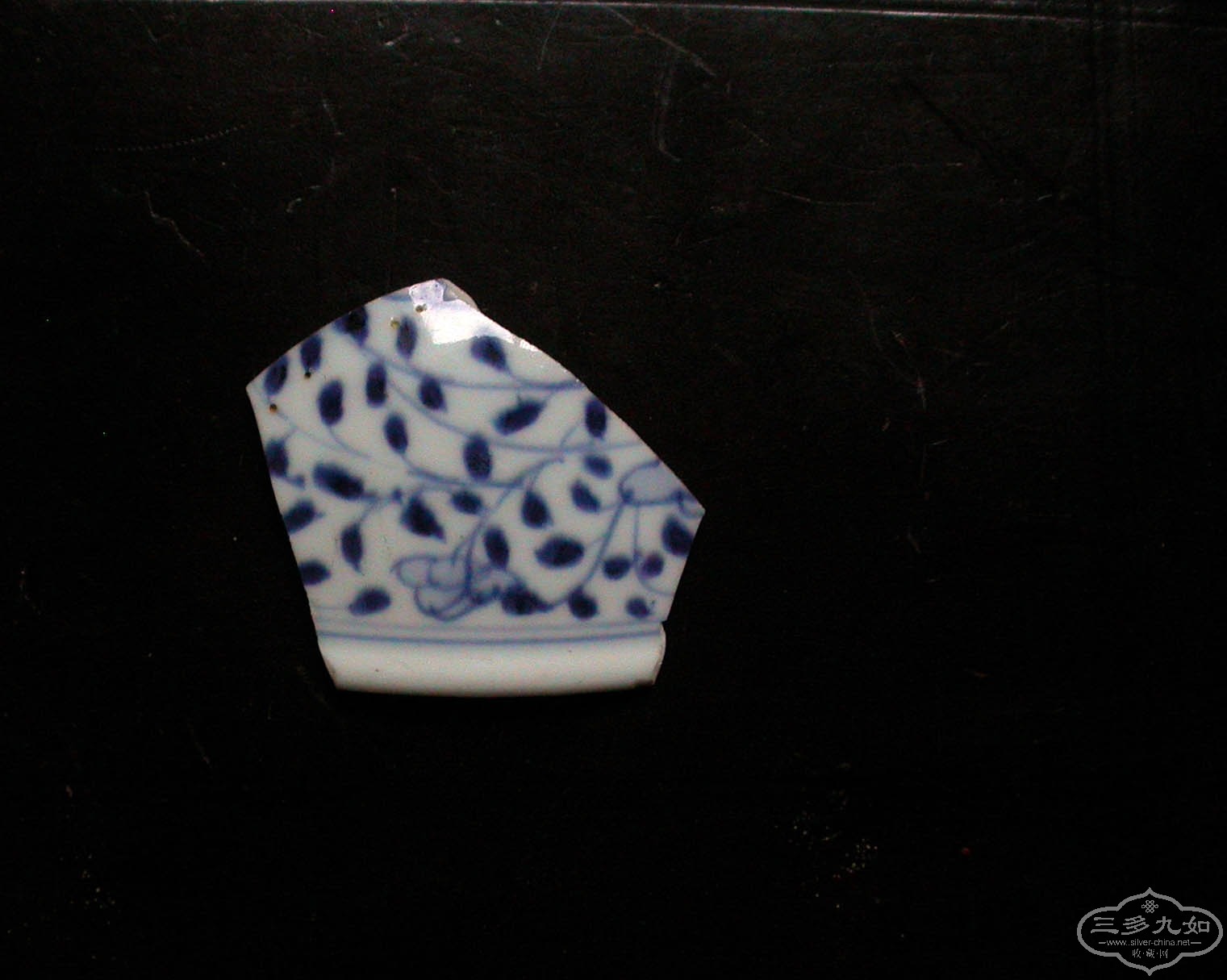 DSCN6276.JPG