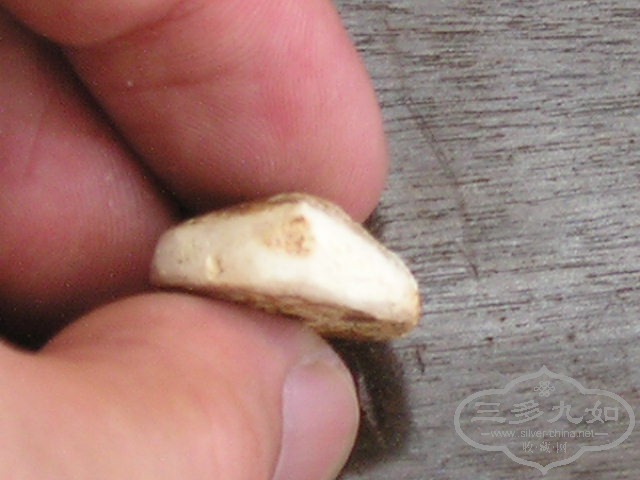 P1010031.JPG