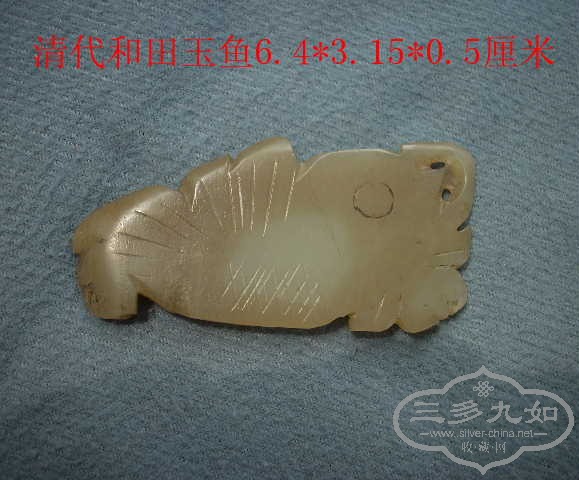 DSCN9737.JPG