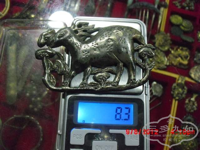 CIMG5657.JPG