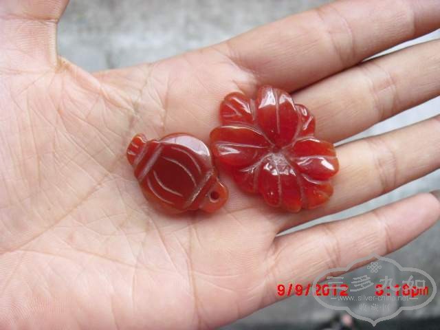 CIMG5662.JPG