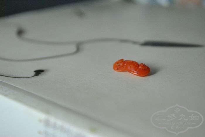 DSC_7360.jpg
