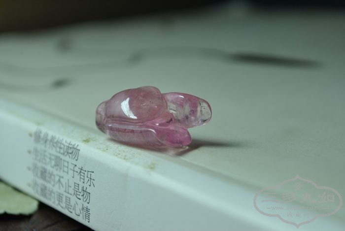 DSC_7657.jpg