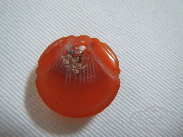 ��Ƭ 2709.jpg