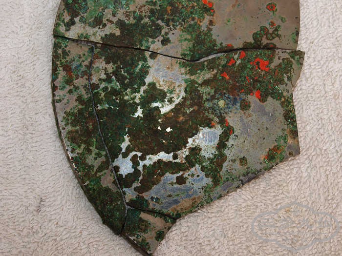 P4191524.jpg