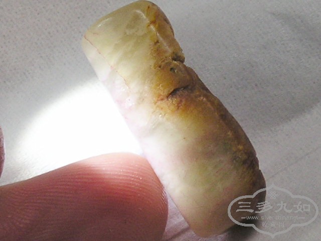 P1010070.jpg