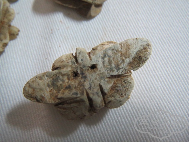 ��Ƭ 037.jpg