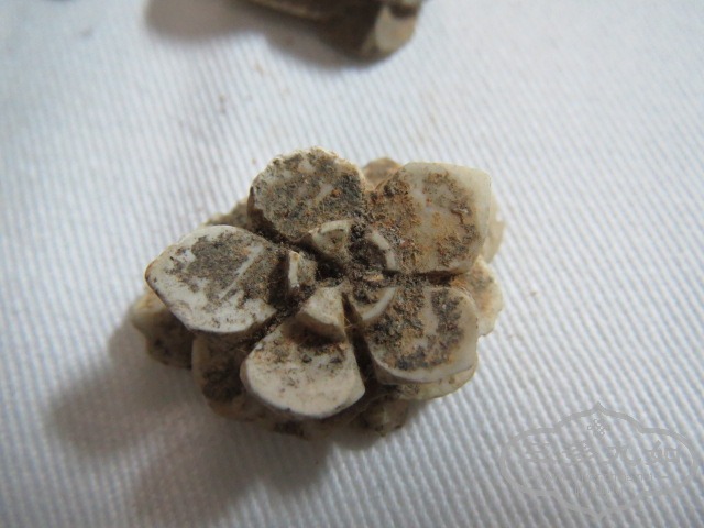 ��Ƭ 038.jpg