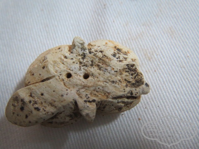 ��Ƭ 041.jpg