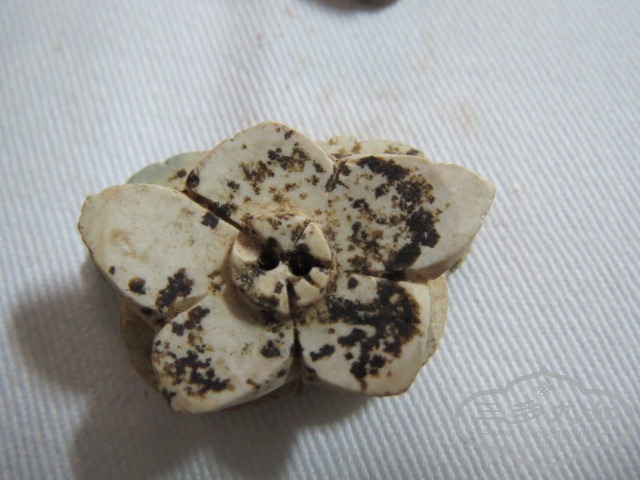 ��Ƭ 042.jpg