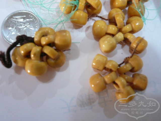 P1050758.JPG