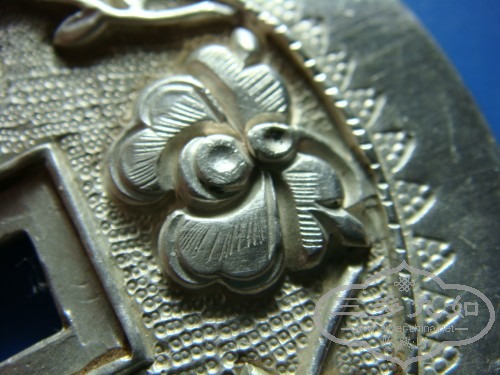 DSC00815_conew1.jpg