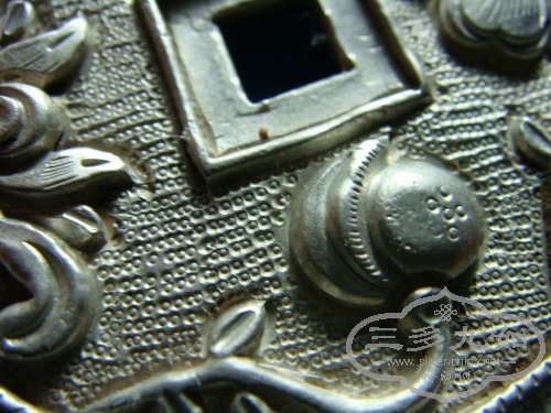 DSC00816_conew1.jpg