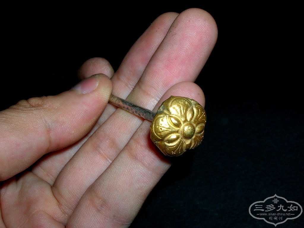 DSCN6579.JPG